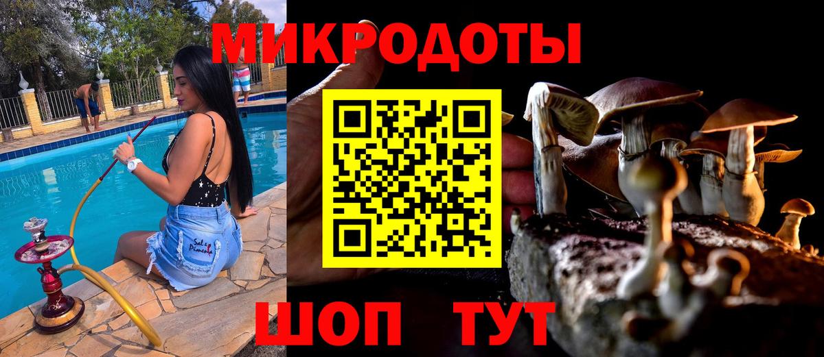 Псилоцибиновые грибы Psilocybine cubensis Орёл